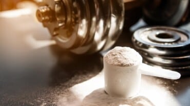 protein powder